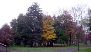 DSC02008.JPG