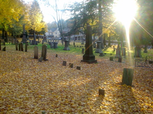 DSC02031.JPG