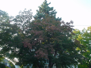 DSC01885.JPG