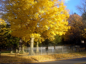 DSC02032.JPG