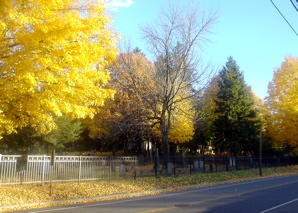 DSC02033.JPG