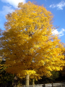 DSC02034.JPG