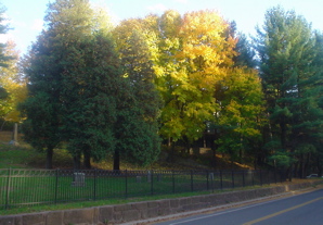 DSC02037.JPG