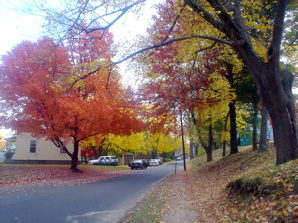 DSC02038.JPG