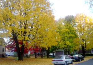 DSC02039.JPG