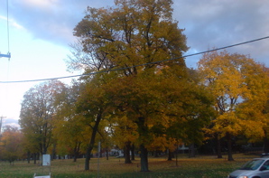 DSC02043.JPG