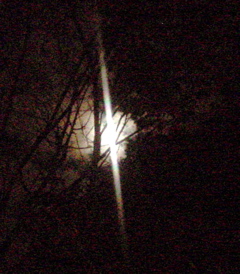 DSC02046.JPG