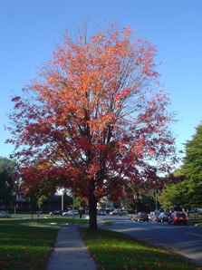 DSC01908.JPG