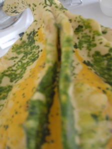 DSC01913.JPG