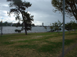 DSC01966.JPG