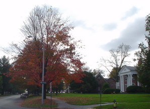 DSC01986.JPG