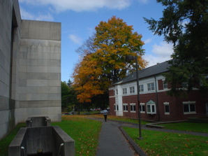 DSC01987.JPG