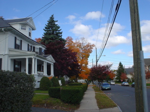 DSC01988.JPG