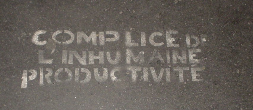 DSC03538.JPG