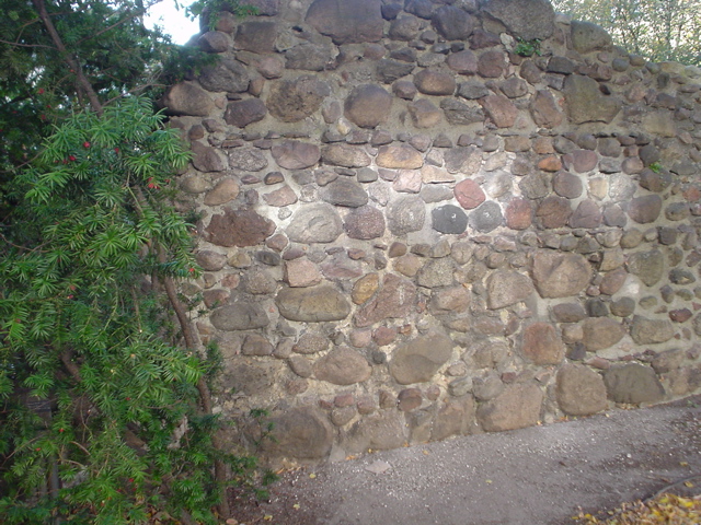 DSC05019.JPG