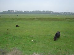 DSC05006.JPG