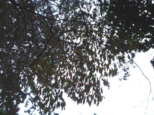 DSC01807.JPG