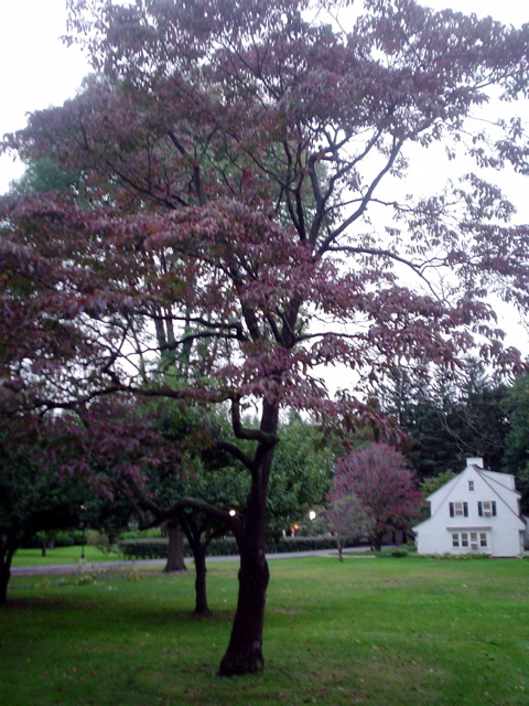 DSC01808.JPG