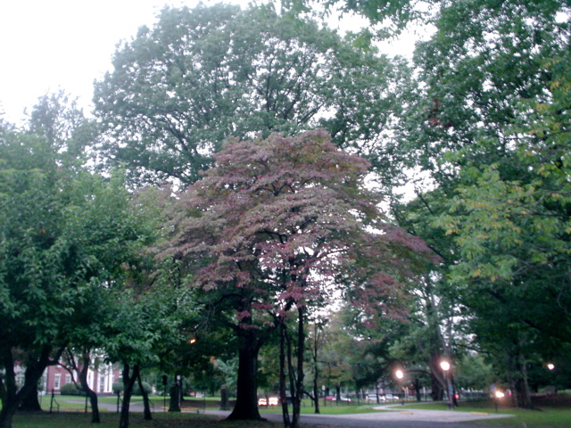 DSC01809.JPG