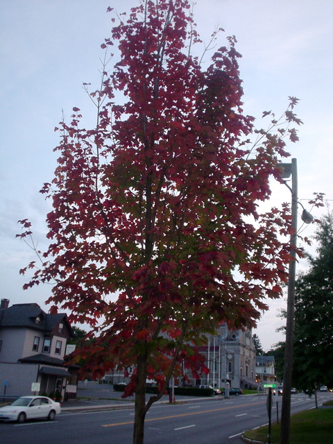 DSC01829.JPG