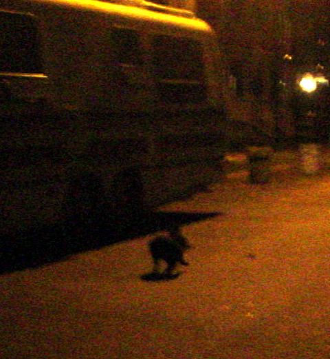 DSC01706.JPG