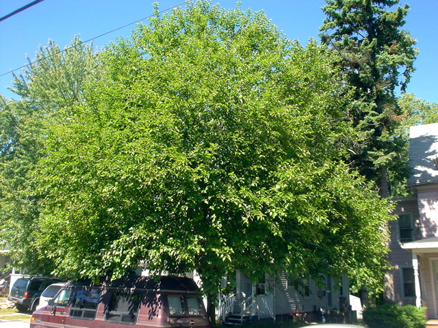 DSC01738.JPG