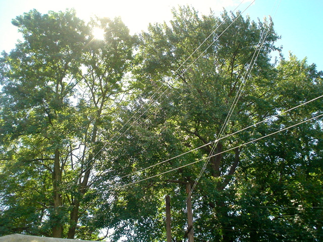 DSC01739.JPG