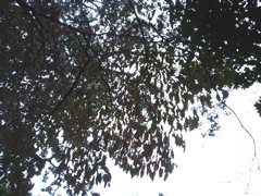 DSC01807.JPG