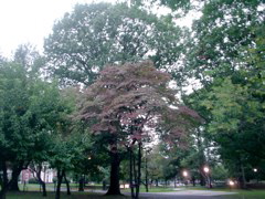 DSC01809.JPG