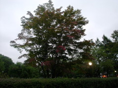 DSC01810.JPG
