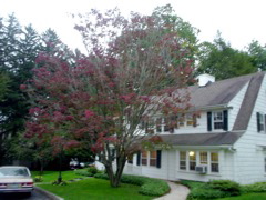 DSC01811.JPG