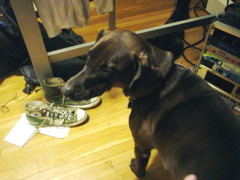 DSC01821.JPG