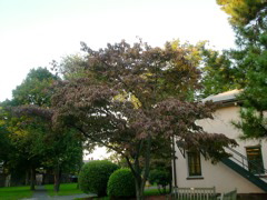 DSC01822.JPG