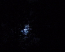 DSC01839.JPG