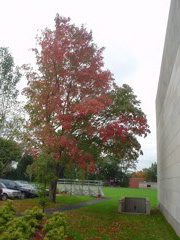 DSC01854.JPG