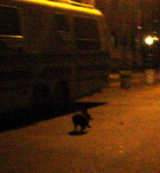 DSC01706.JPG