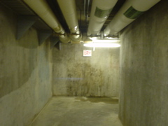 DSC01725.JPG
