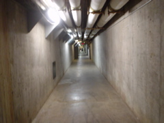 DSC01726.JPG