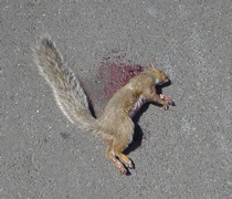 DSC01736.JPG