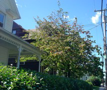 DSC01737.JPG