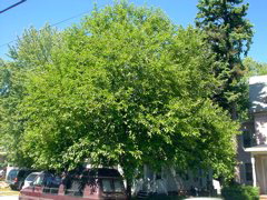 DSC01738.JPG