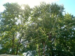 DSC01739.JPG