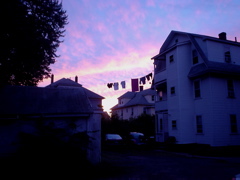DSC01750.JPG