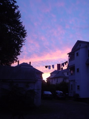 DSC01751.JPG