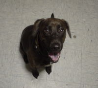 DSC01753.JPG