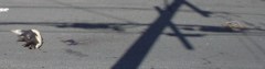 DSC01754.JPG