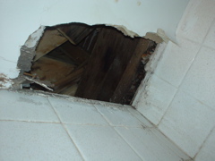 DSC01783.JPG