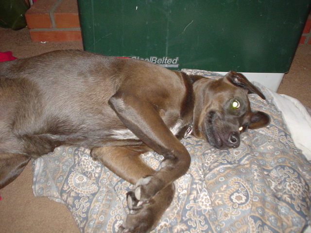DSC03436.JPG