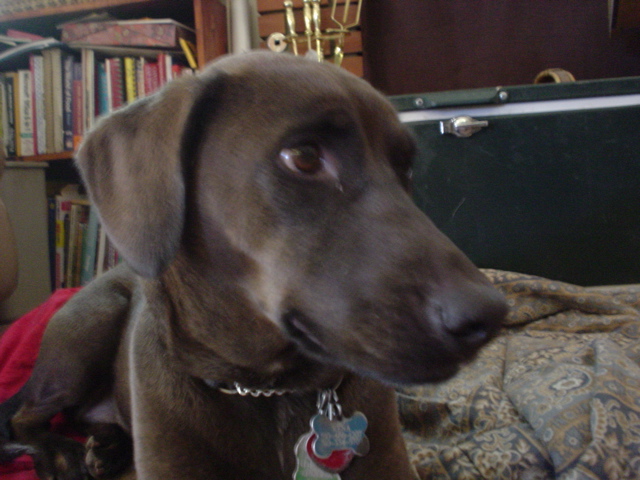 DSC03439.JPG