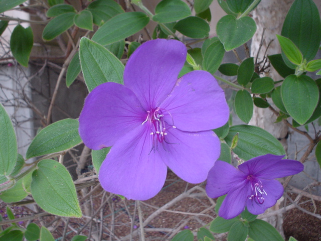 DSC03445.JPG